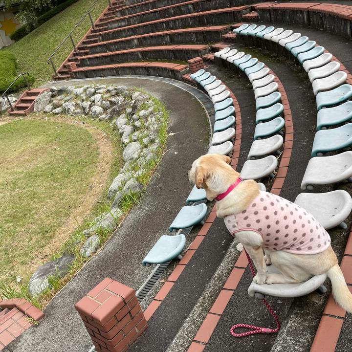 4cb15548 ca01 4388 a31e 2d1dfe87a476 1634903845526