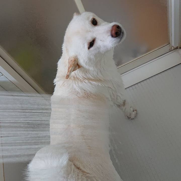 4cb15ce2 6222 418a b92c 3e7e6225834c 1599875555568