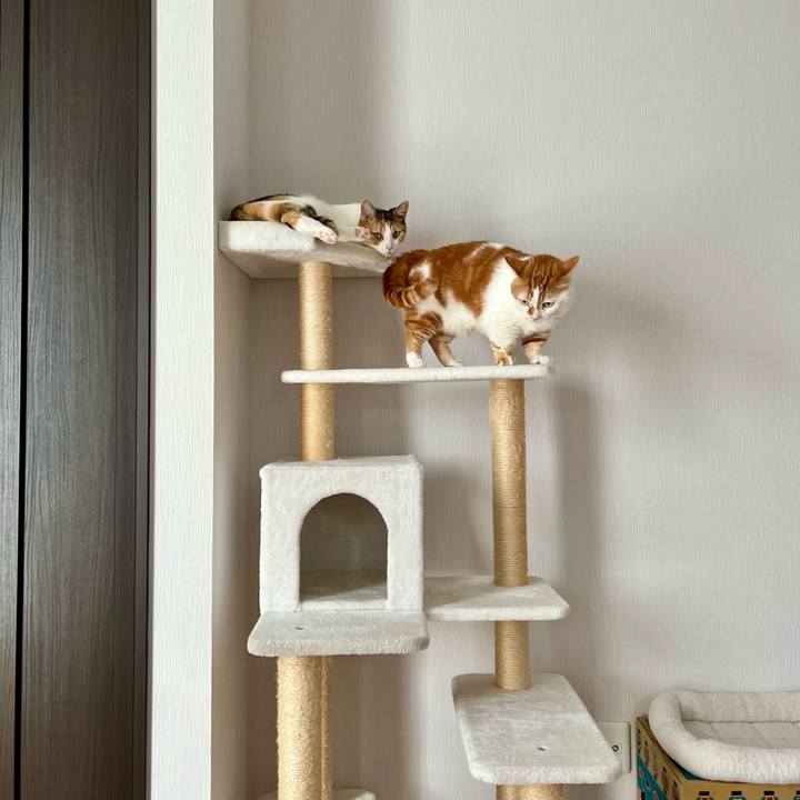 4cb15cfc 94b4 42c5 aedd 41b33c389e2d 1756866498977