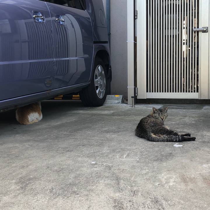 4cb19968 d39b 4479 b594 bea064703b77 1560777324809