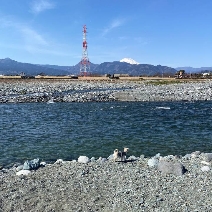 4cb19fa8 39d6 429f b11a b6ba0c15fdc9 1614490845494