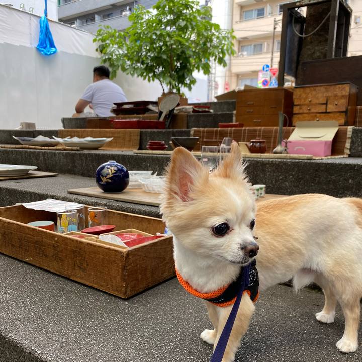4cb1a04f c68e 4f13 b7dc b6978b85ea9d 1654308597848