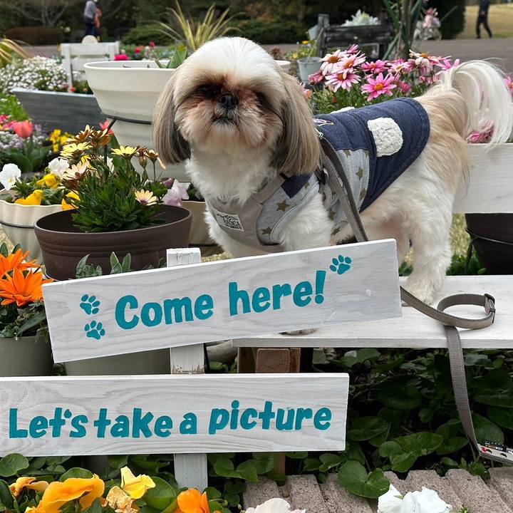 4cb1ab32 11ca 43a6 997d 05704e5b1771 1679403520929