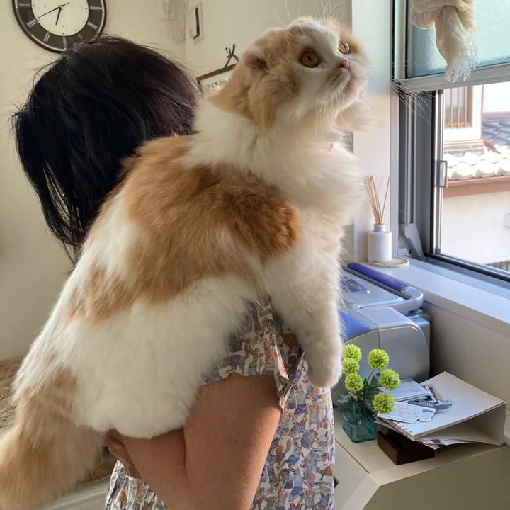 4cb1f227 3725 4f8a bf4b d4155f0a4060 1622082689350