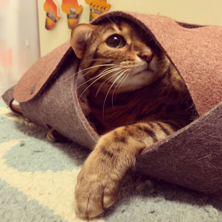 4cb205bb 3a02 44fc b736 99173946cf39 1580600570556