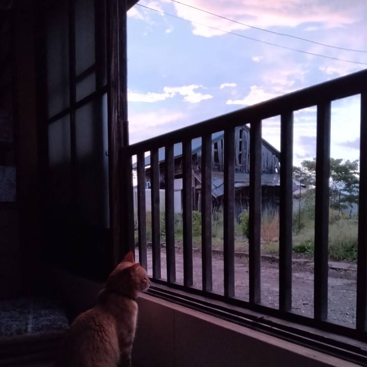 4cb2065f ab58 4a08 abed b18e3eec35f2 1663620475206