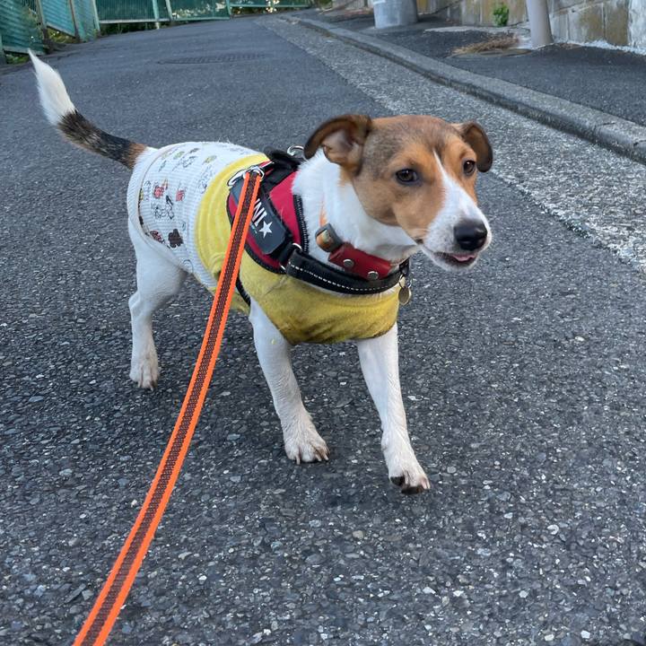 4cb20ede 3e03 4611 857b 36a4705c4be7 1698191745902