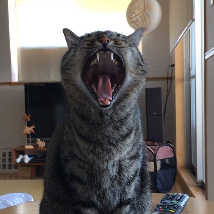 4cb2131d 9c40 4ca9 87e6 444a291fff08 1529322138394