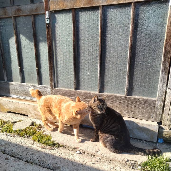 4cb21359 577f 4365 b00e f884b35884bb 1742714658437