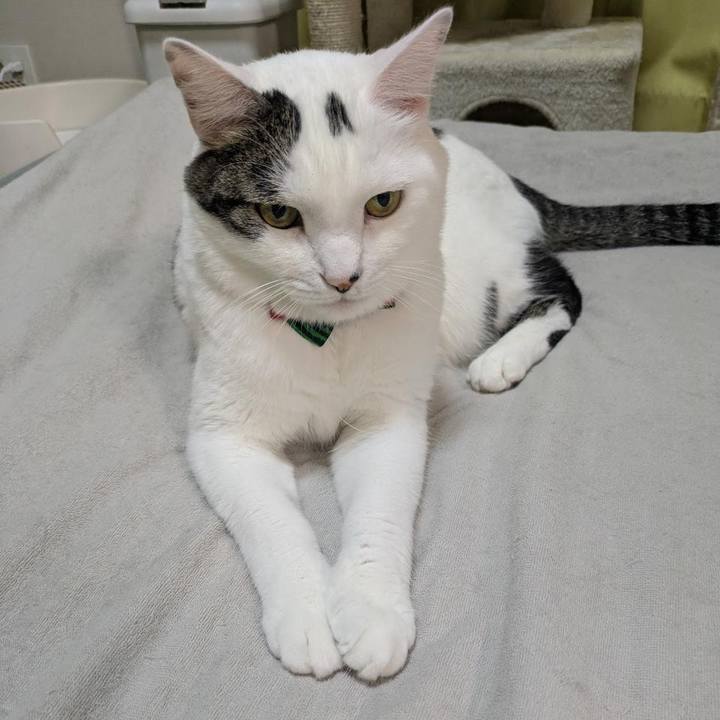 4cb22f5c 6688 48e1 a2cd 3344db7648f0 1769094032456