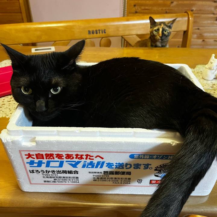 4cb244bb 349b 4b48 a818 cccc6fe7b9b4 1724416231813