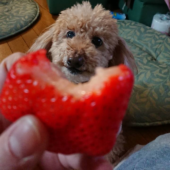 4cb24ea1 e428 40de aa94 4e35924513f1 1551682010271