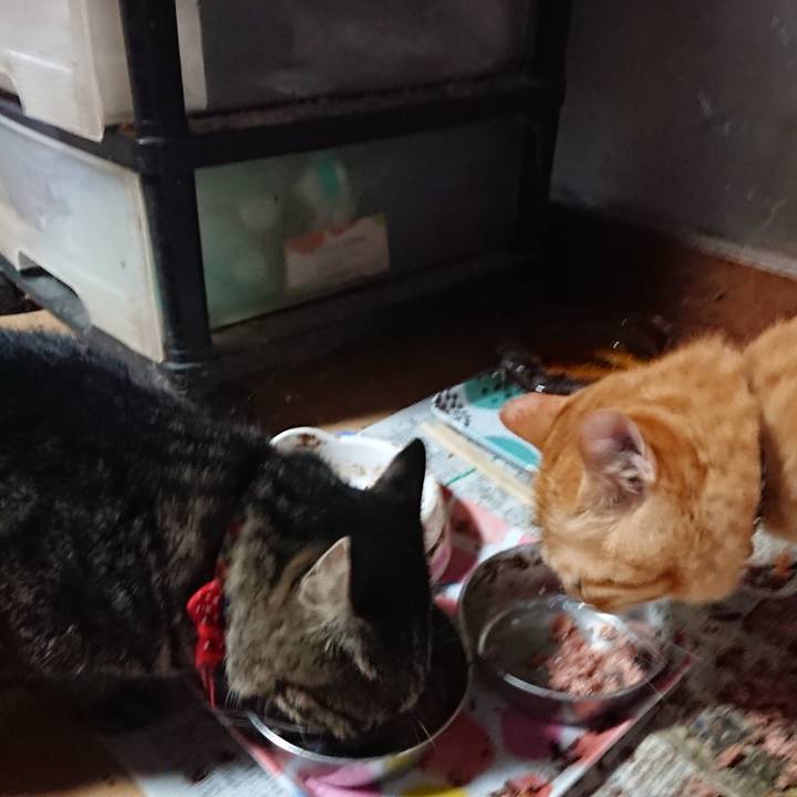 4cb28bdf 9558 4e8c aeaa 46d708e5d36e 1661982779763