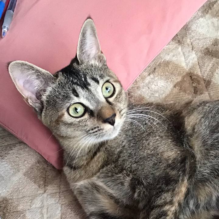 4cb28c53 179d 4c11 8d1c 8bbe7e9234fa 1574204363748