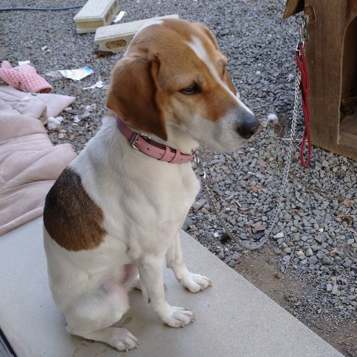 4cb2d5a9 b55d 4122 a43c 8688f7fb78d5 1582185492678