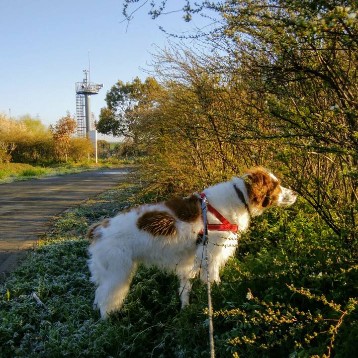 4cb310b4 1c39 47af 8acd 16a5d6c9441c 1553083128138