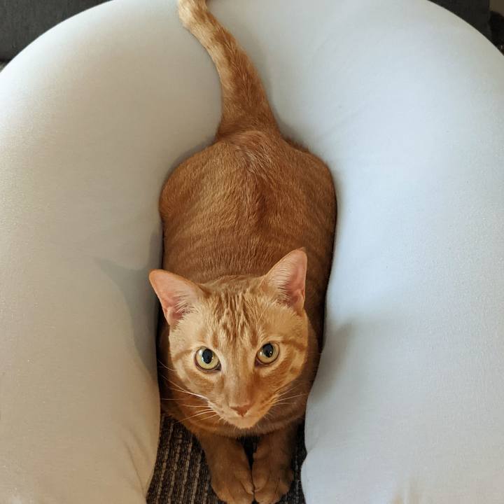 4cb3124e c9d6 4037 ab1a 0edec70372c1 1670453258957