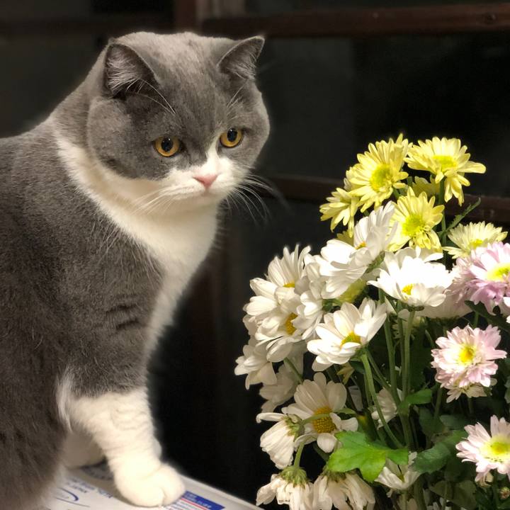 4cb3227c 10ba 49eb 93a5 4329eb23d66f 1576579428392