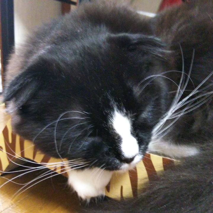 4cb34eb5 a033 4034 8c22 19913b9fefd2 1645098898256