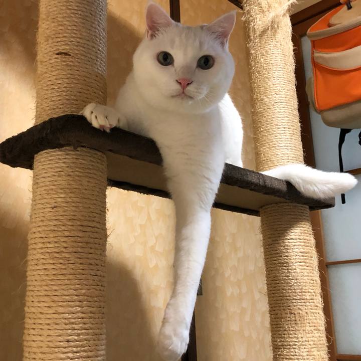 4cb359e6 85c7 4f69 8393 7f51c6a1bb4f 1628488049824