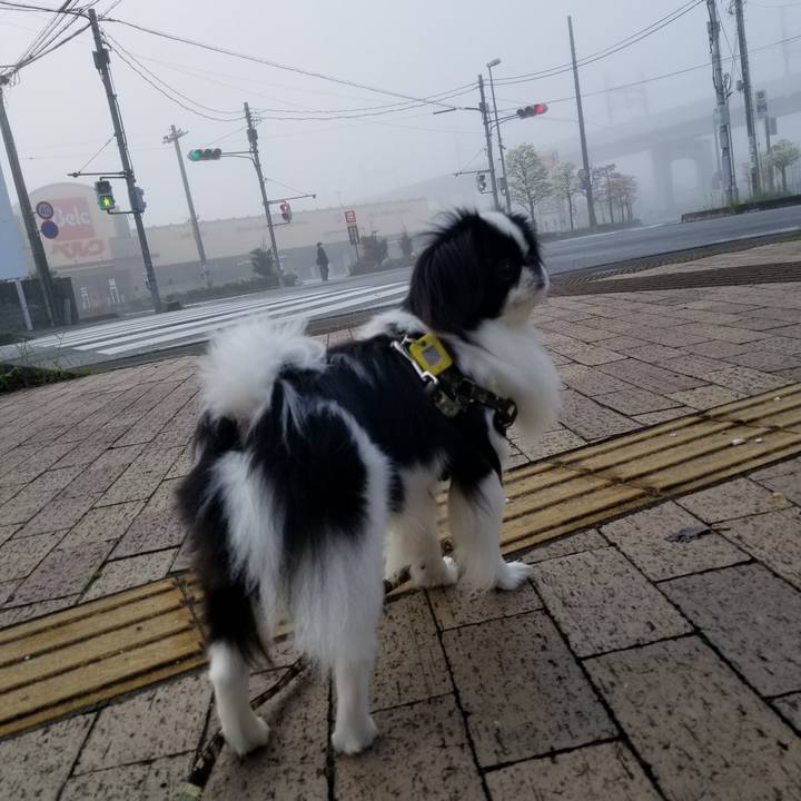 4cb3fc56 5fe8 4cab b21b 21312c0eae7b 1650369342303