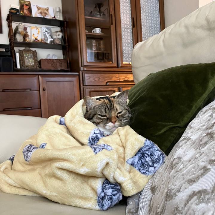 4cb4258f 766d 4518 a9c8 828d03126857 1763162416690