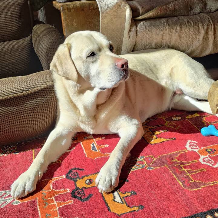 4cb45e77 99e4 4a4d a2a8 c672e9daf52f 1645842818407