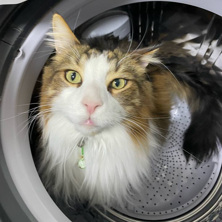 4cb46c3b 6d6d 4110 aa81 2ff926fb77a4 1736974643838