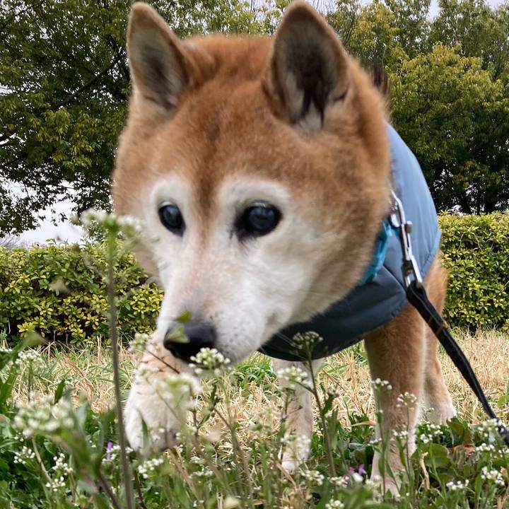 4cb4763e 84f3 4f31 b328 633063451087 1772425185900