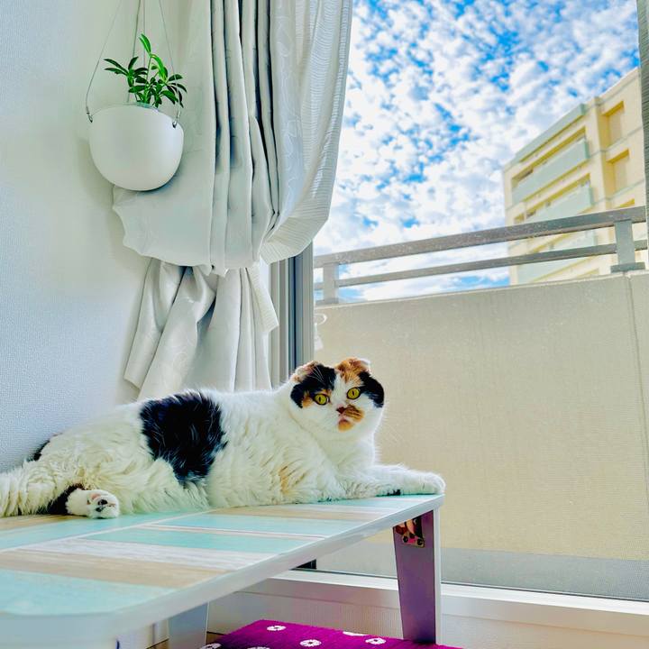 4cb49056 dbc3 4cff a98e 750cc7fb2942 1721427787529