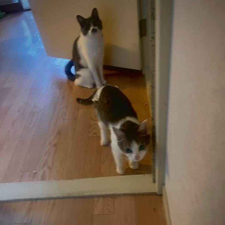 4cb49ec2 ce16 4804 a56d 49671e3c332b 1628225367508