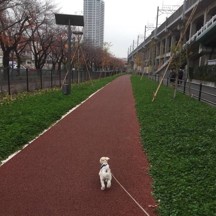 4cb4aee8 bc5c 4c08 90b2 95f9cb897c66 1511001358258