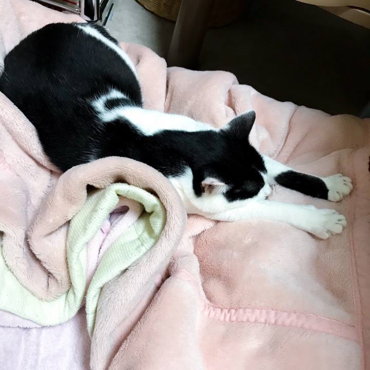 4cb4c06d d102 487d b0e6 e918dcd3f9a8 1510917263301