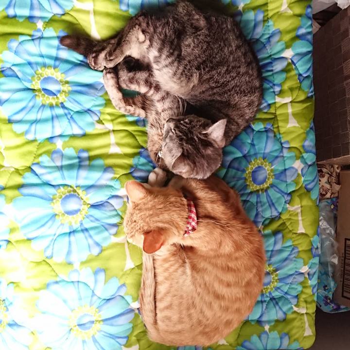 4cb4dc0f 07be 46c8 bfdf 7a1541c9f011 1561197066879