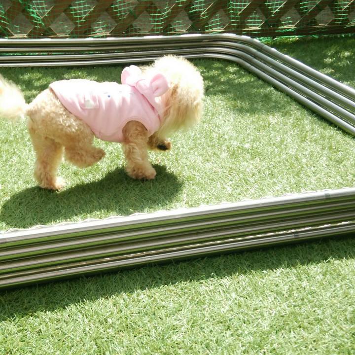 4cb4e112 f177 4c29 94e6 81f568efc270 1553518096673