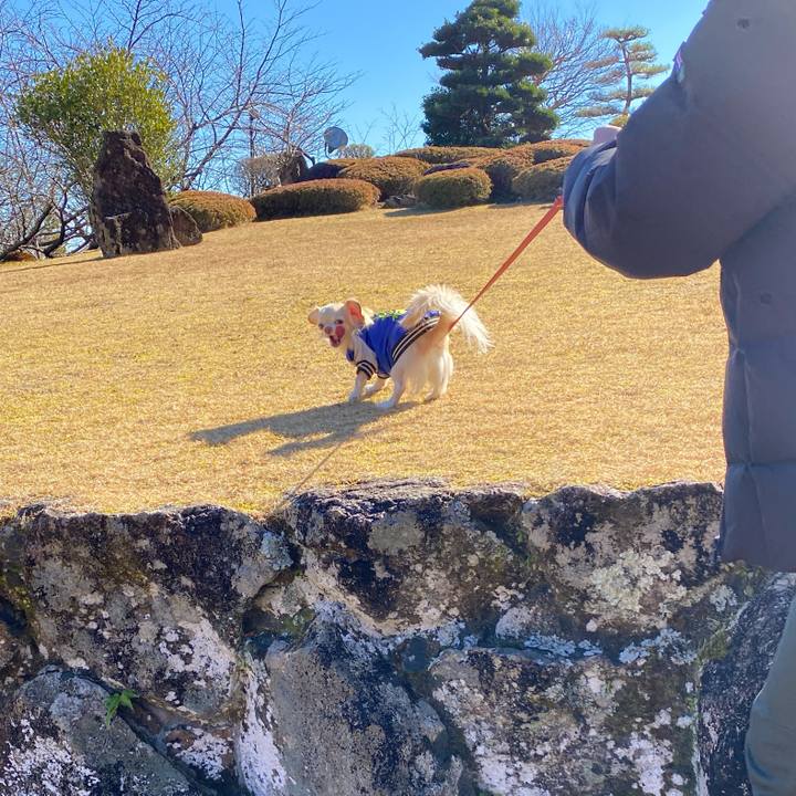 4cb5064f 4a47 4243 9950 2fa95b67fd49 1641371243361