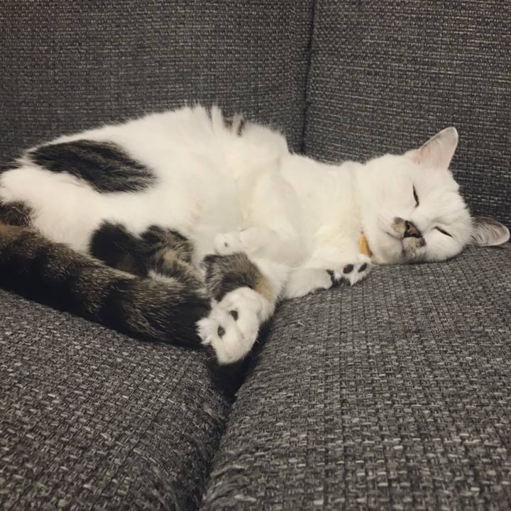 4cb5b8f9 06d9 41a0 930c 6fb63ab4b929 1561107913024