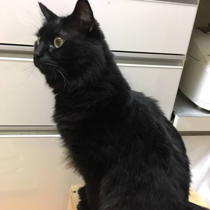 4cb5f1f8 df8b 411b bdc7 ef7d6570bc31 1531145099578