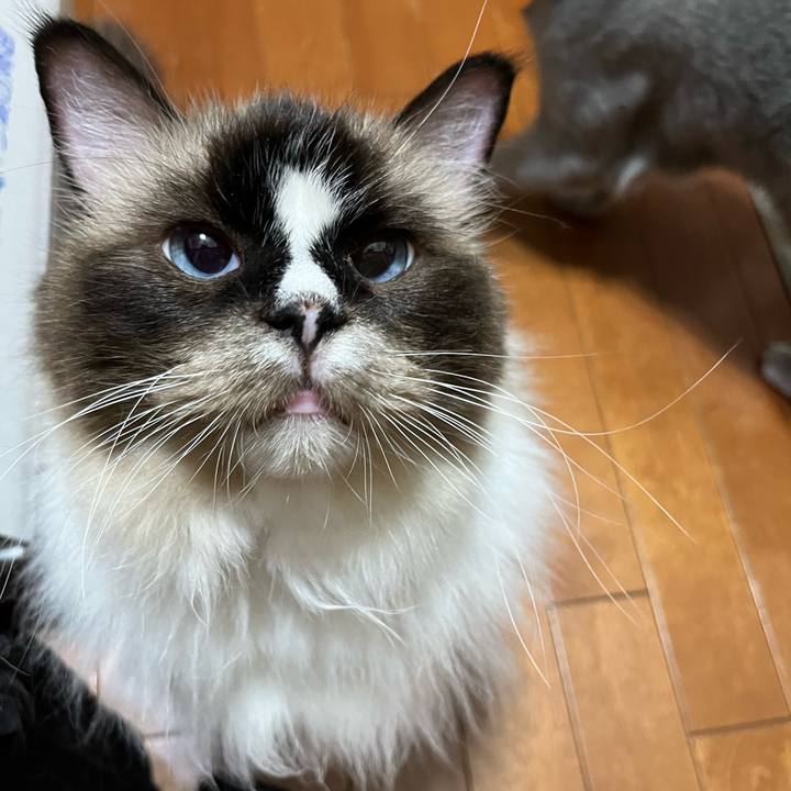 4cb5f923 a1c3 42d1 83a6 e0359a32889e 1726147921994