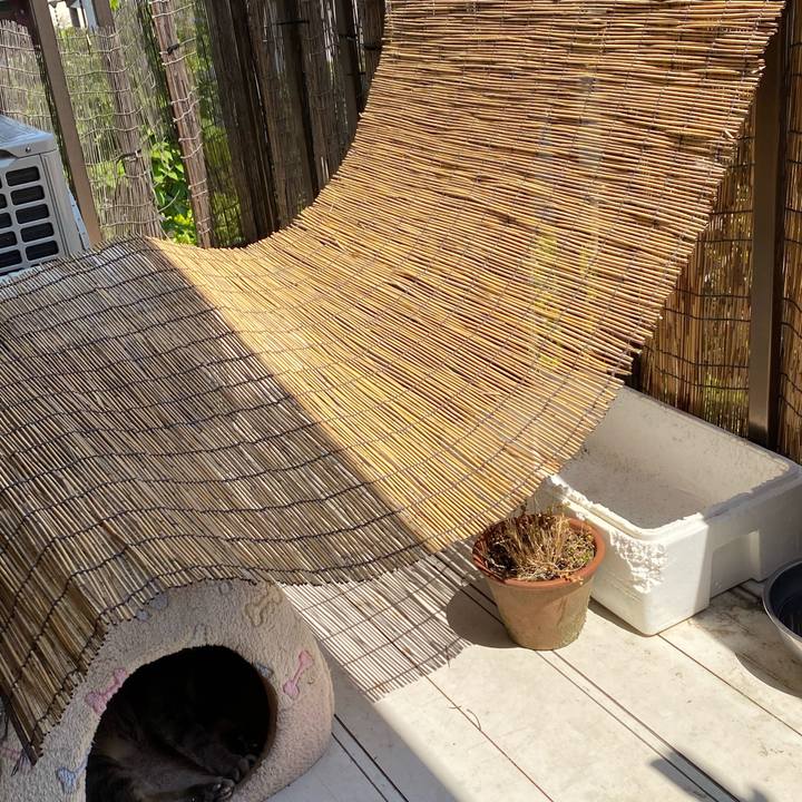 4cb60039 4c77 482e aa5d 0c49e6cad1ea 1588310115936