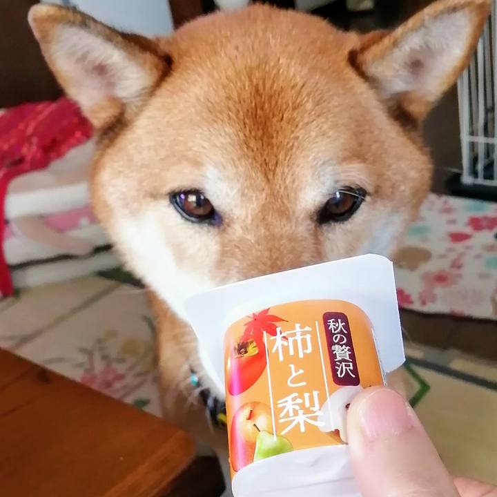 4cb62e69 cd38 4fb3 bdc0 7eec5594a0d2 1630217764346