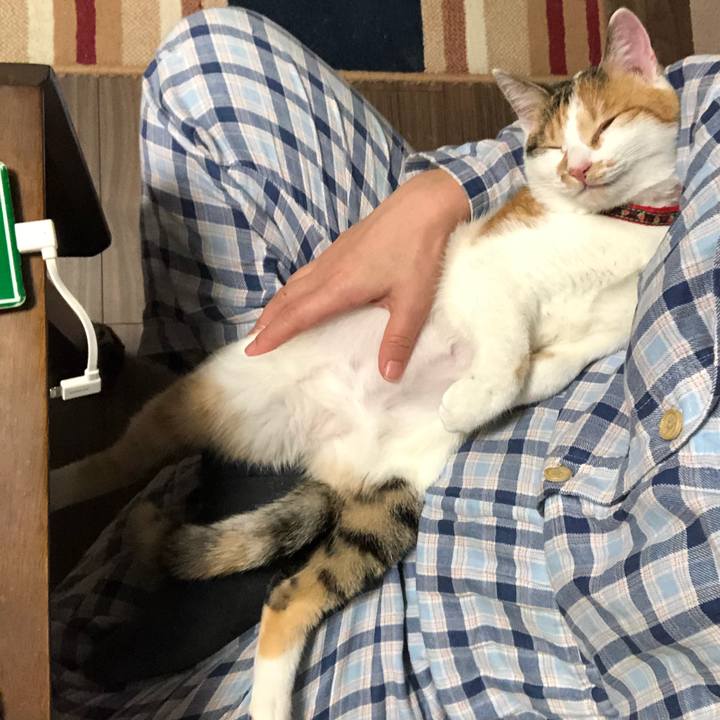 4cb648a3 9253 4458 a323 0fc33b0f0872 1576243497212