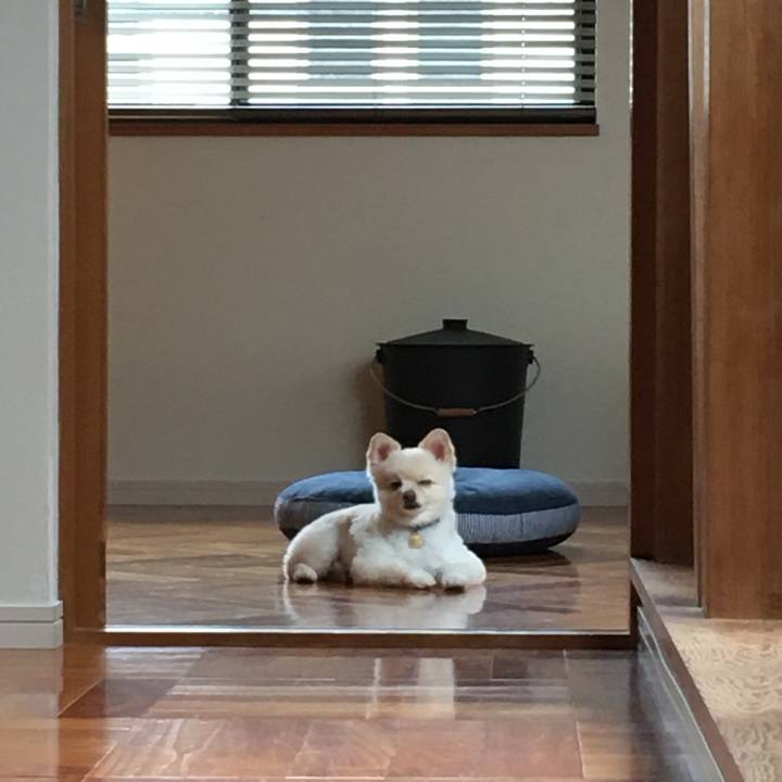 4cb651be 0d87 47a4 967c 0aef35846d24 1596493622905