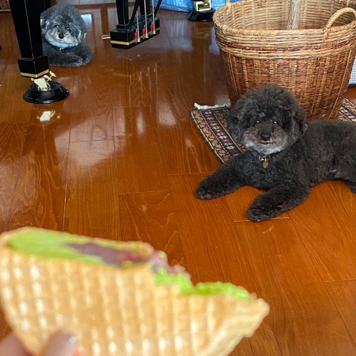 4cb653c0 5a38 475f 8a6e a9103f1f113d 1633492383990