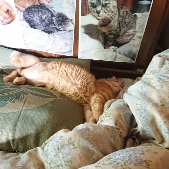 4cb66b33 8fa9 4439 9dff 571ef980e6e7 1657173593807