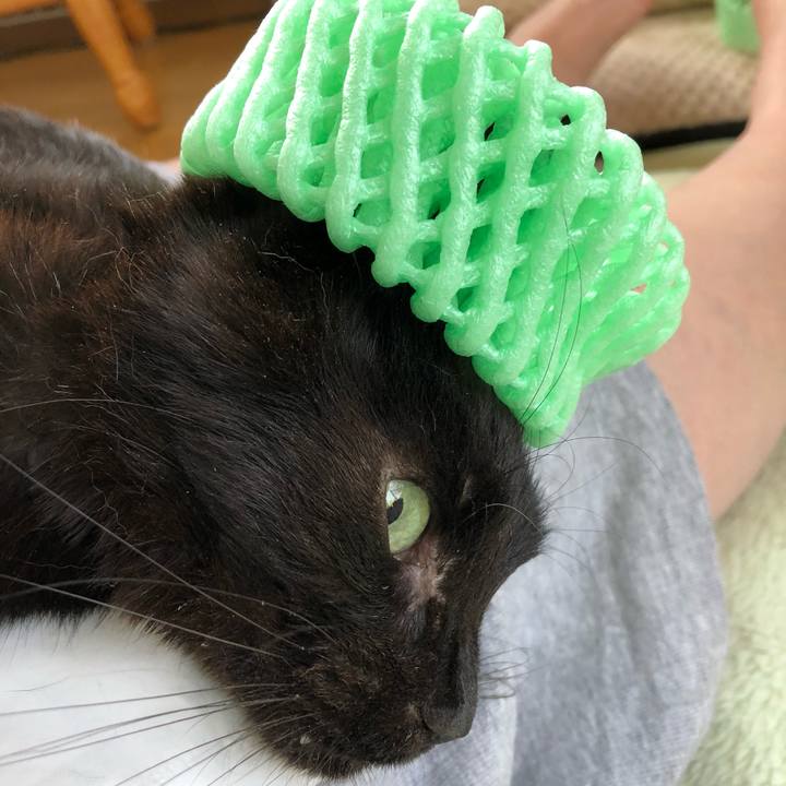 4cb6722a c54c 46a5 bae6 abda80c6f6e2 1559915864178