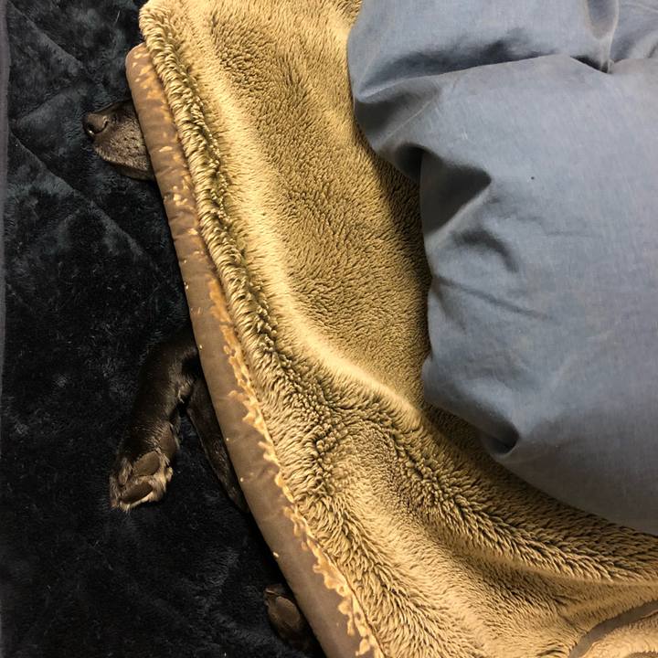 4cb69537 4ca1 48f9 a933 2599fc75a6de 1549057776086