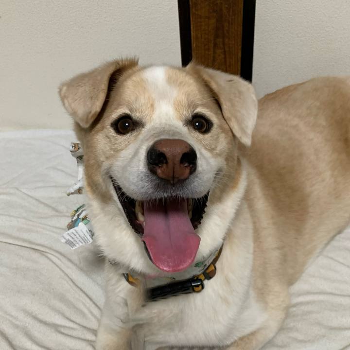 4cb6b65c 9374 4492 9e43 eb1994c3cdd1 1597319474548