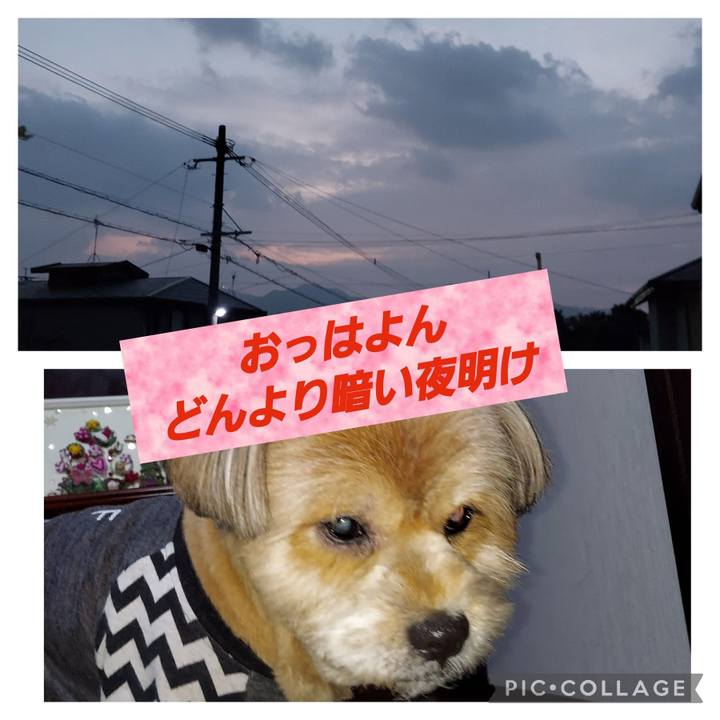 4cb6e1bf e2f3 455a b45d bf05ed11204e 1639692336894