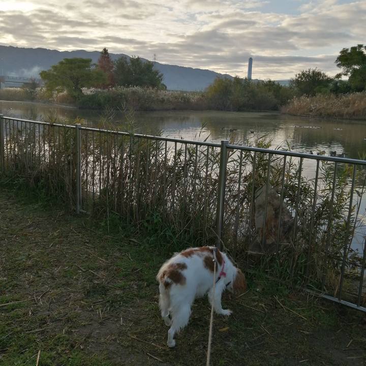 4cb6f151 0a23 4dd9 a262 d70392c107e1 1574295079473